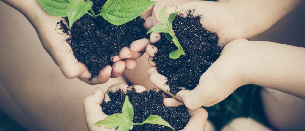 Activities to Celebrate Earth Day