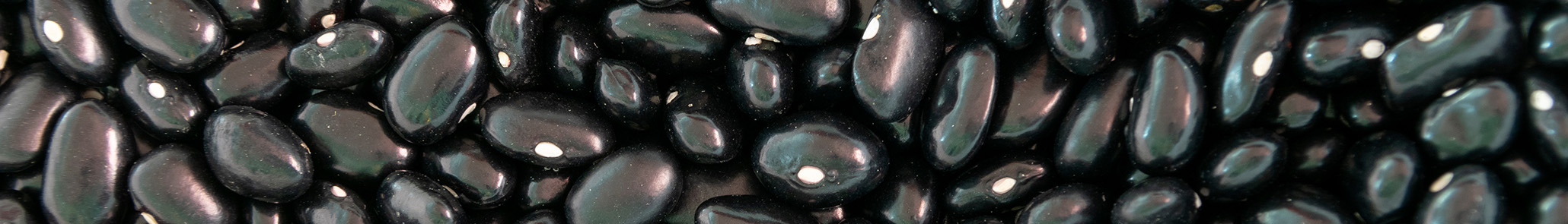 Roasted Black Beans