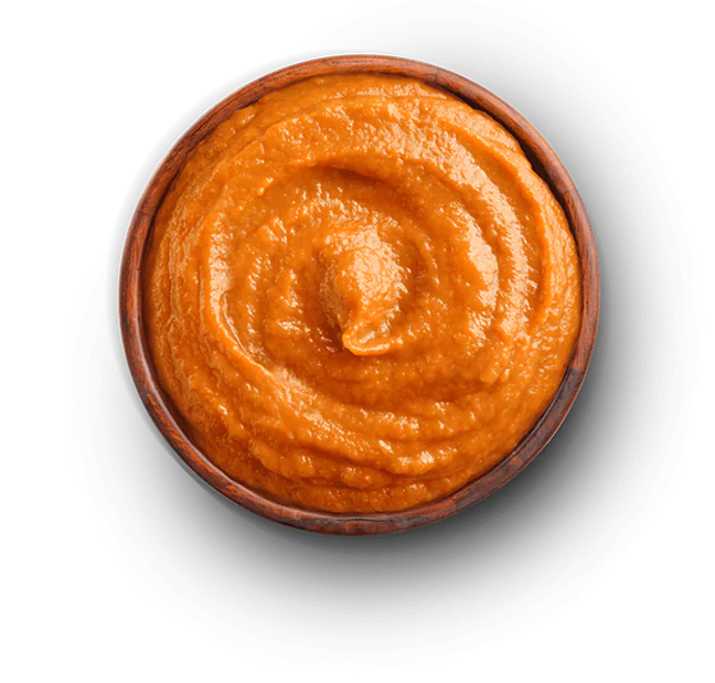 Pumpkin NoSpoon.png