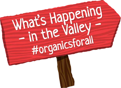 What's Happening in the Valley