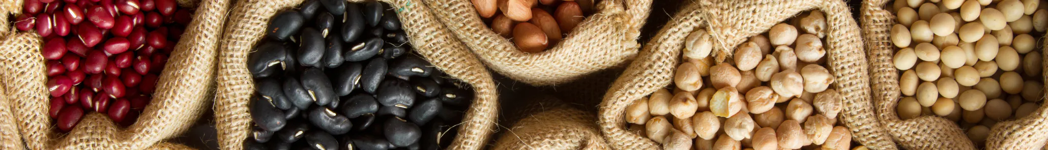 Let’s Get Started with Beans!